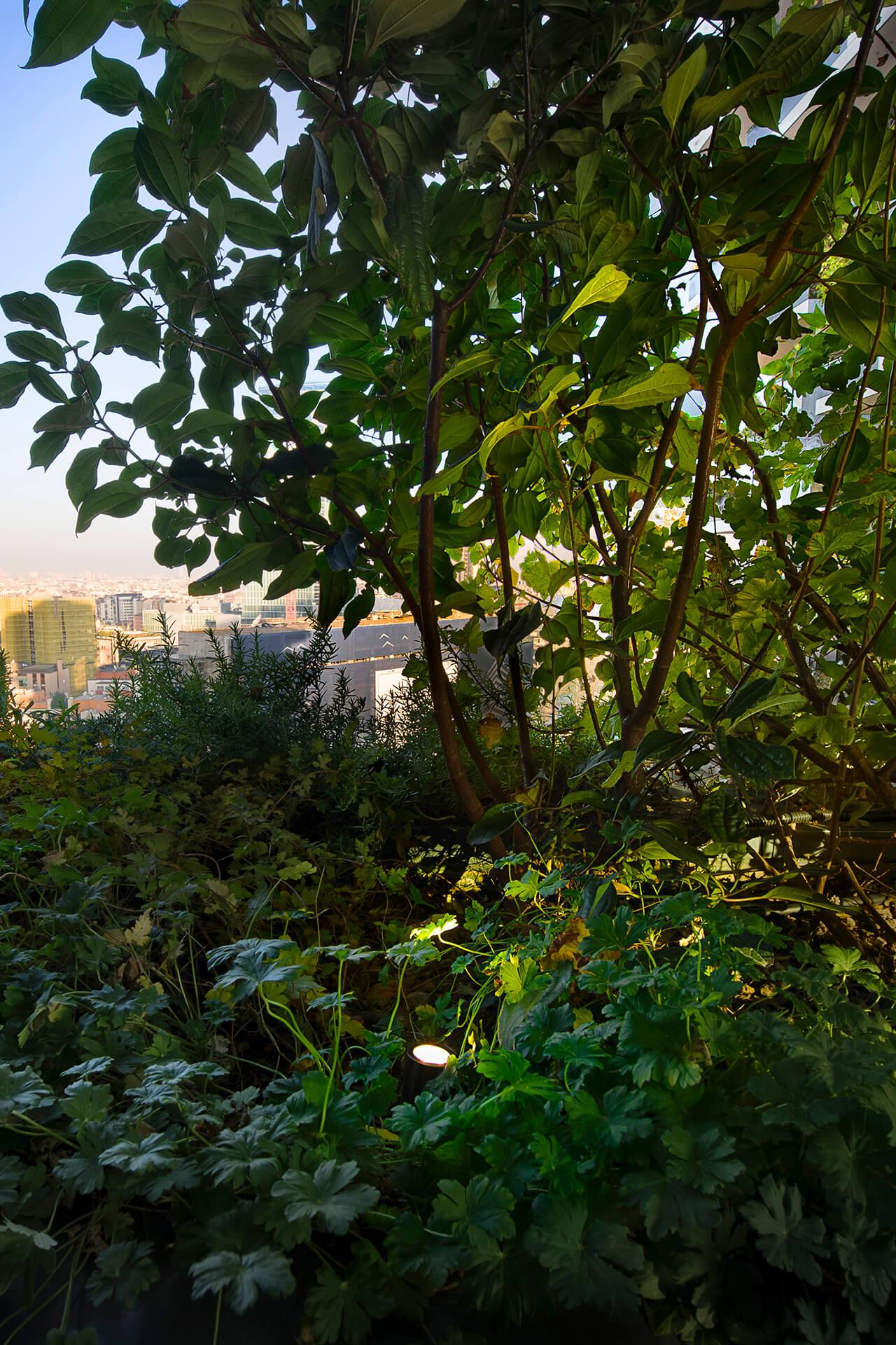 Bosco Verticale Gallery 10 1280X1920