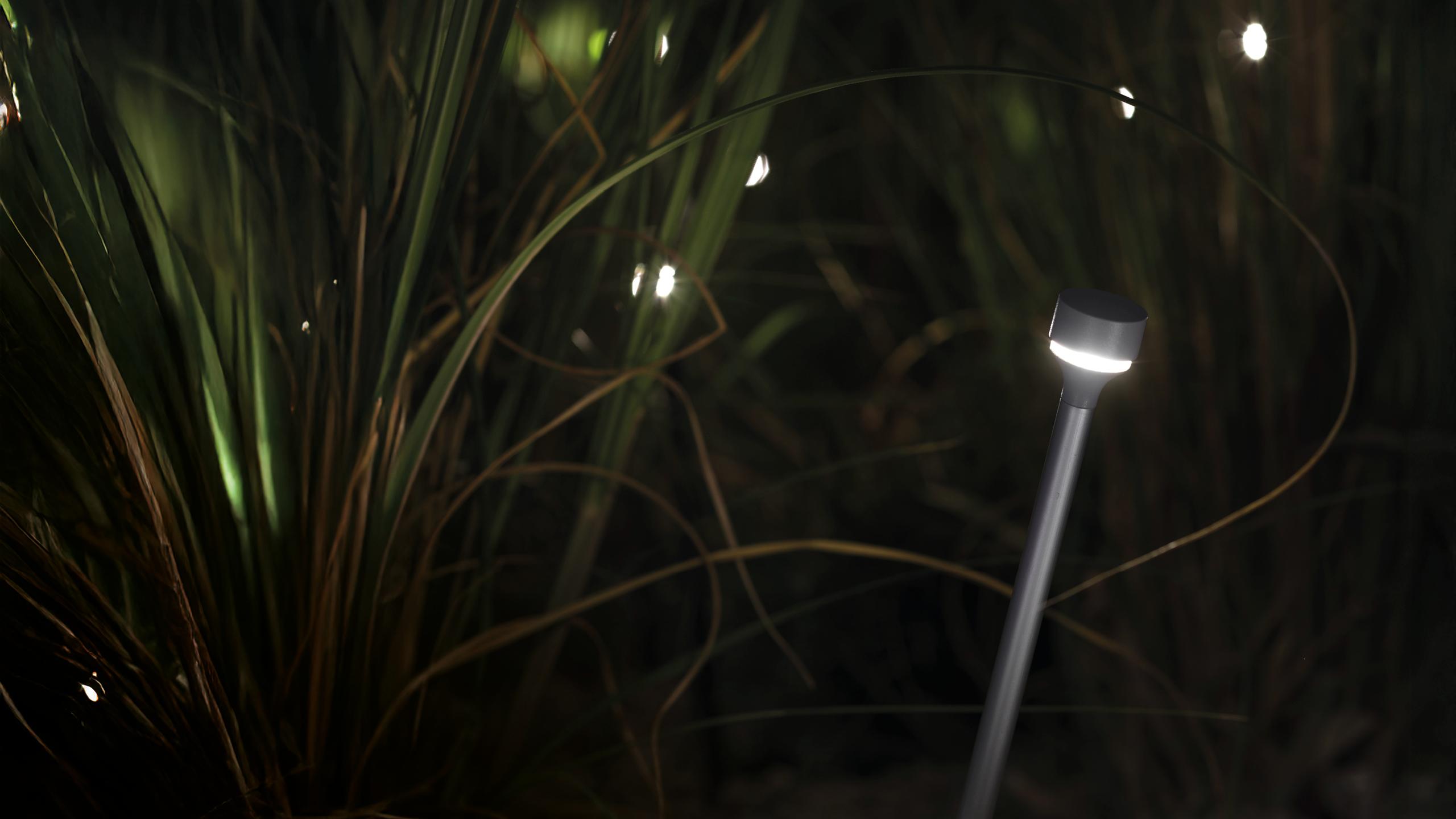 BUZZER 1920X1080 Px Sito Web 01