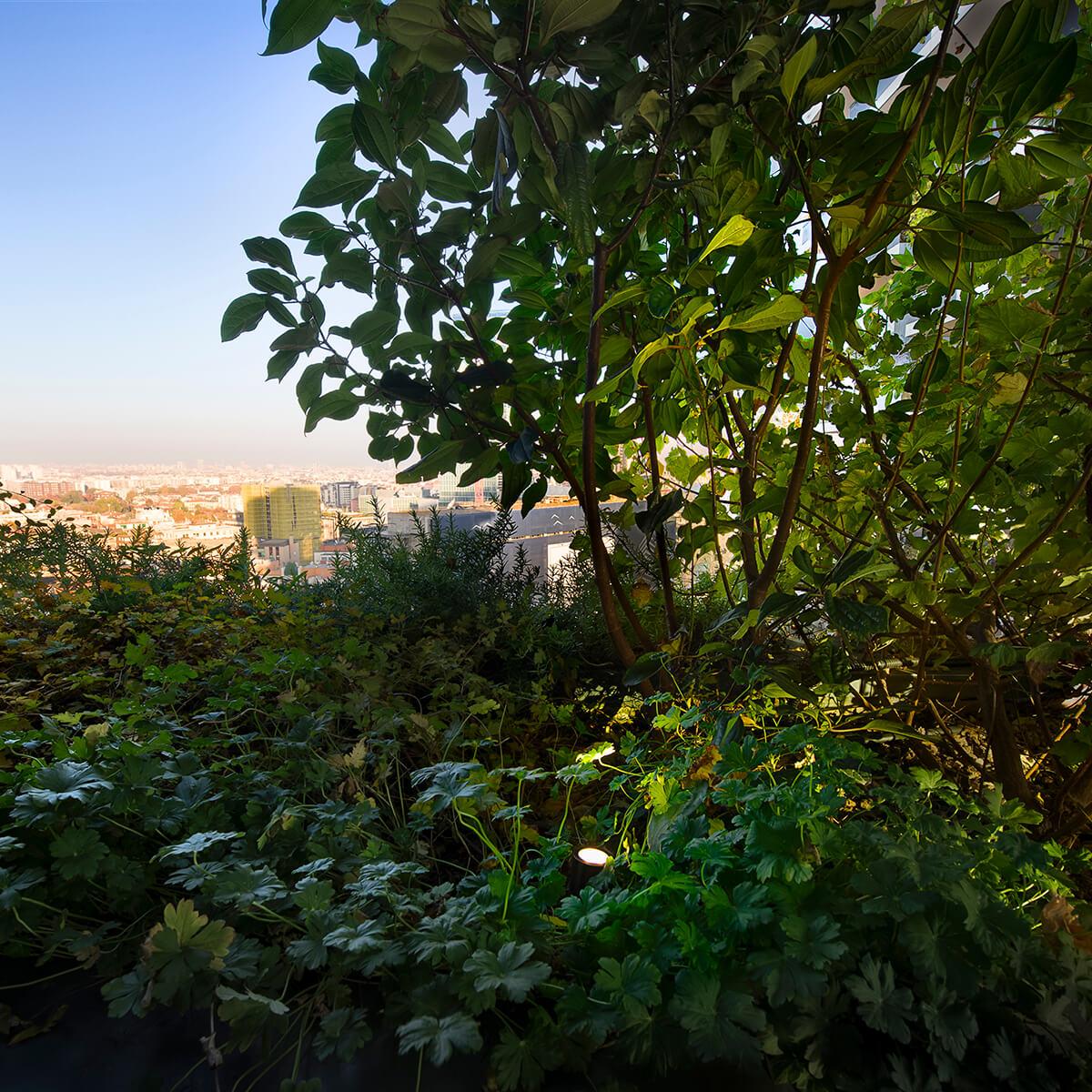 Bosco Verticale 2 1200X1200