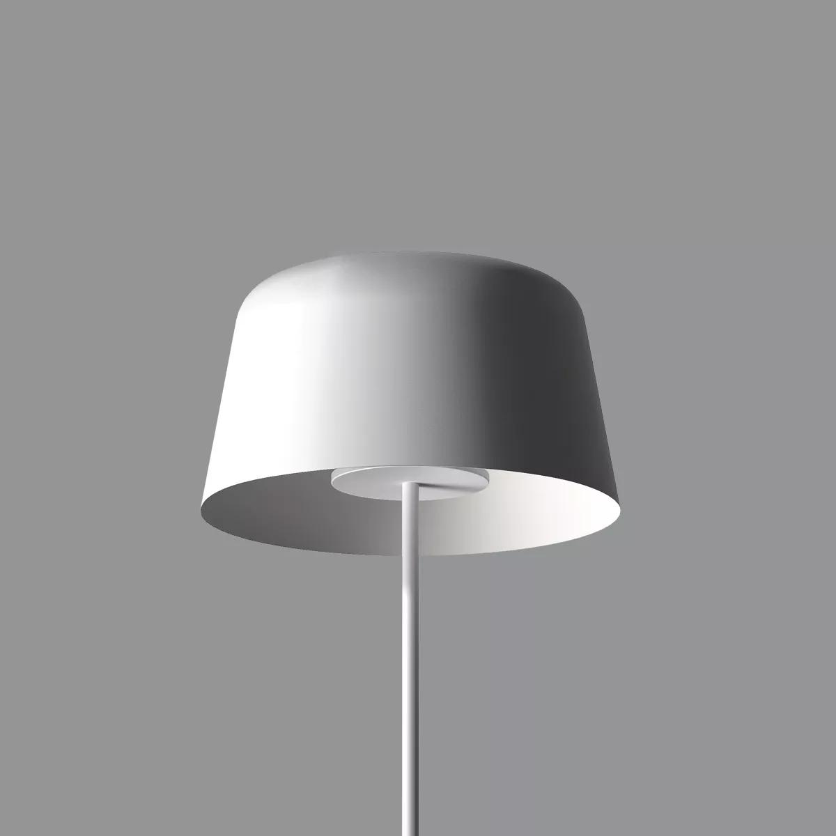 Delfi_FL - Text white RAL 9003