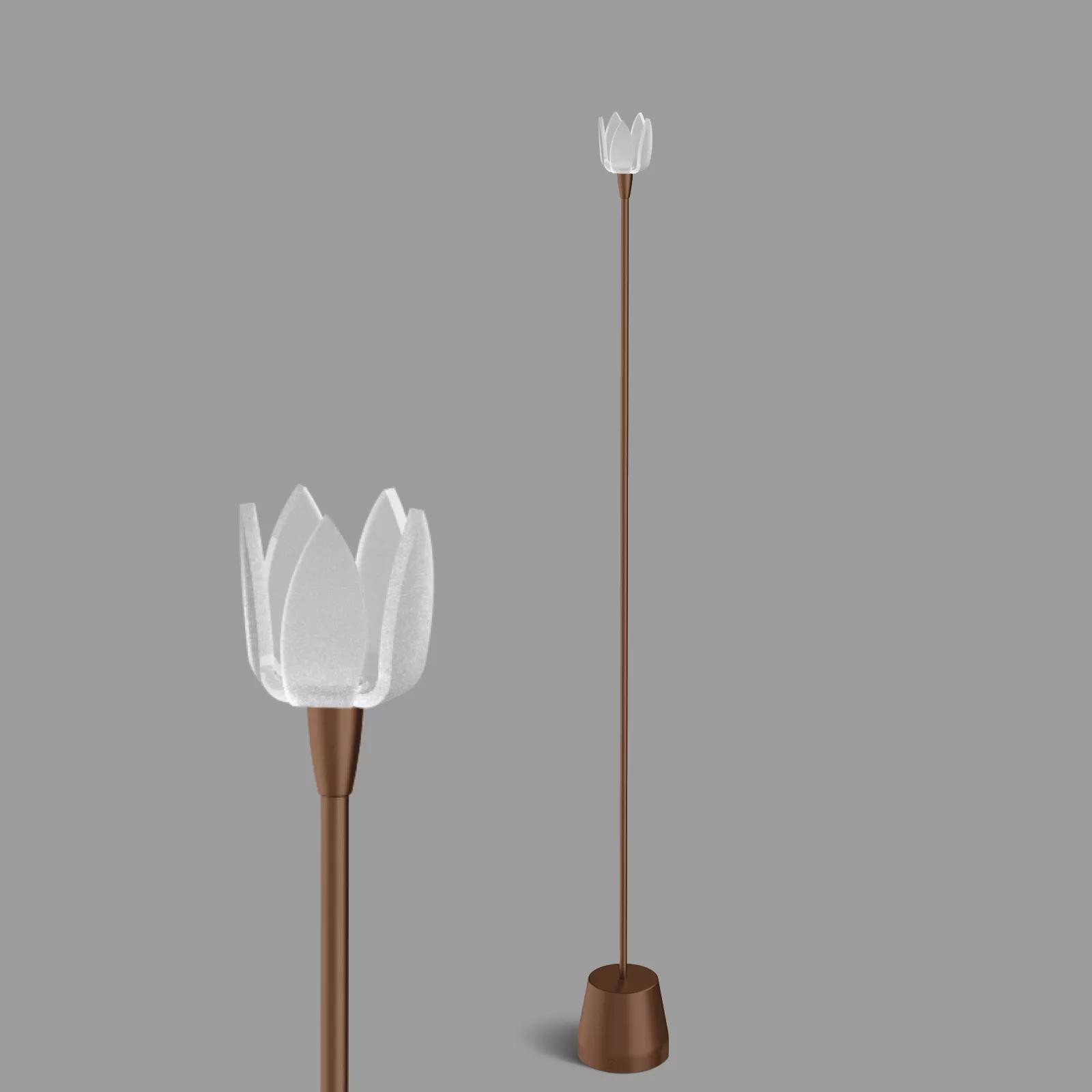 Blum Flower - Brown