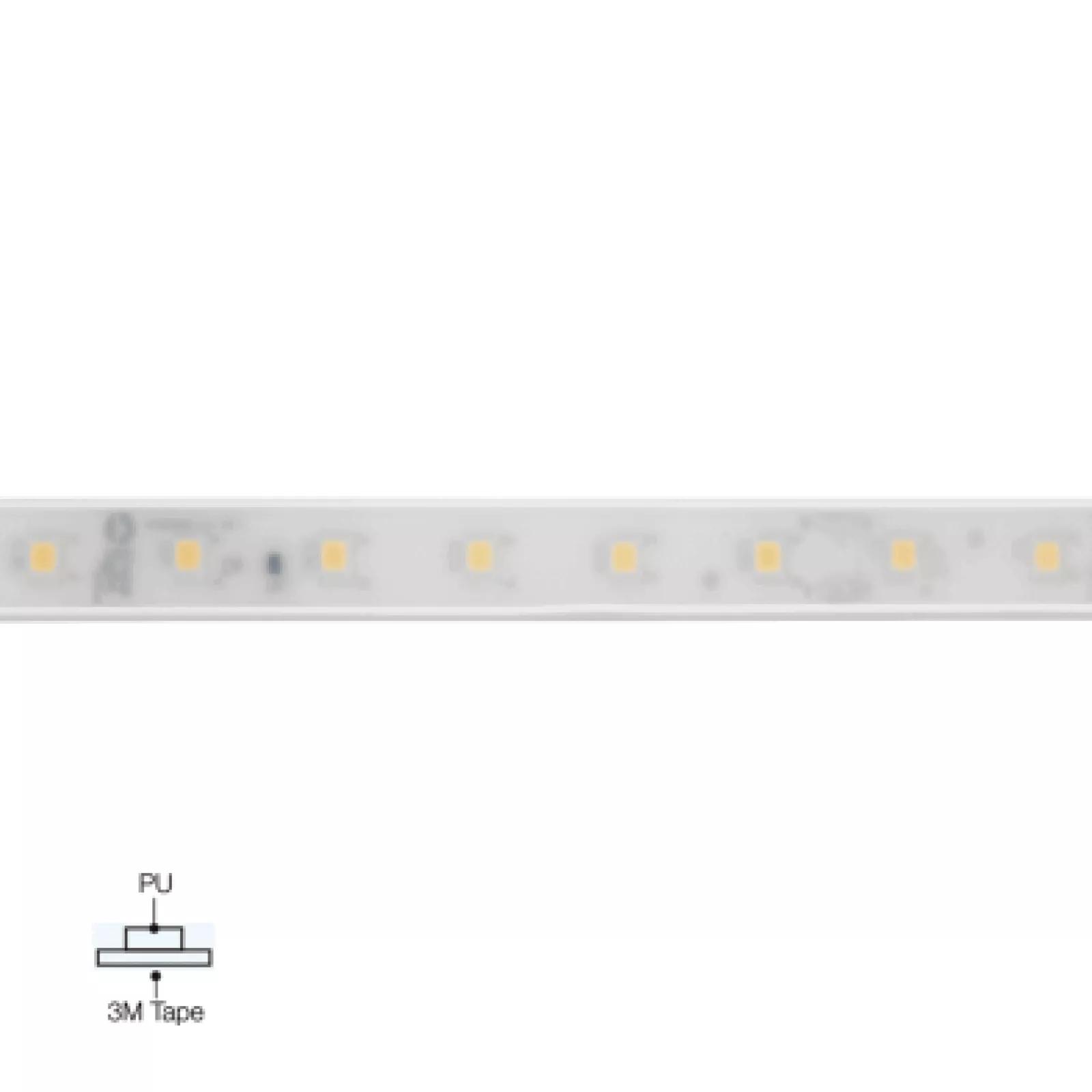 PU_C Plus 70 LEDs/m product