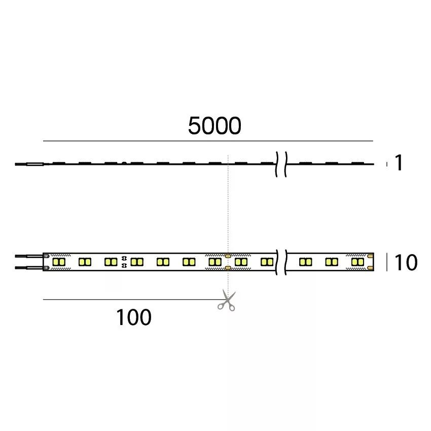 Ribbon Plus WT