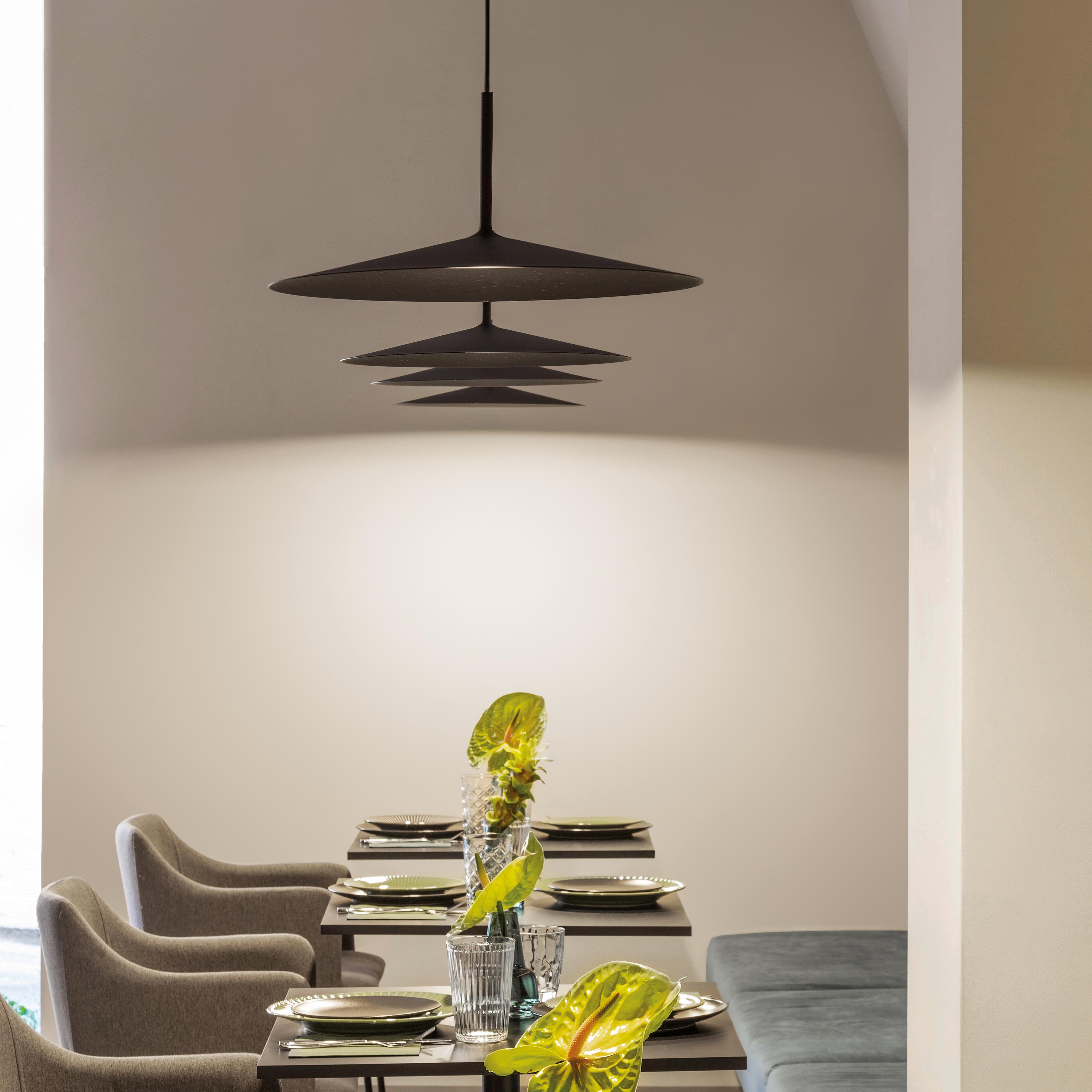 Gallery Product Poe Pendant Linealightgroup 1080X1080 1