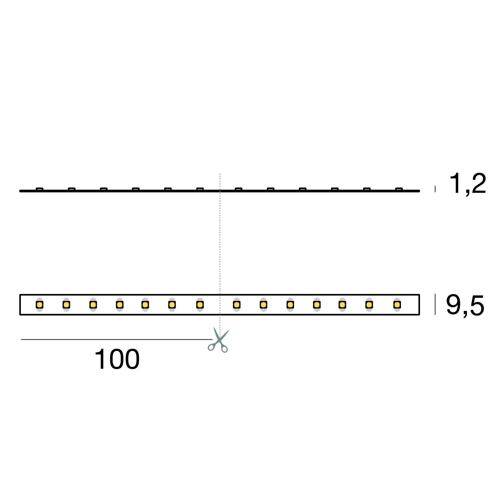 Ribbon Plus 70 LEDs/m